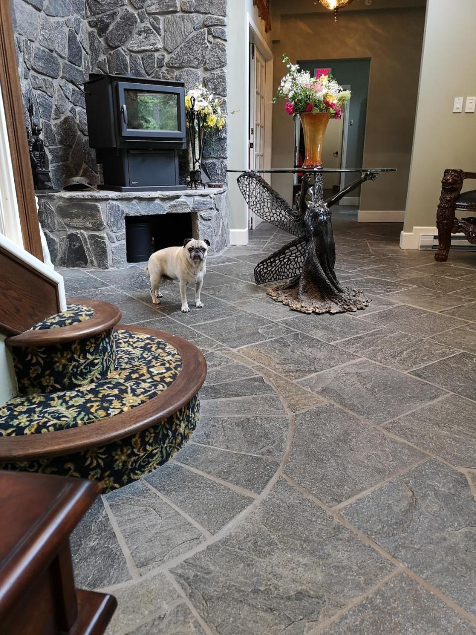 Hotel Woodstone Manor Inc. à Sturdies Bay Extérieur photo